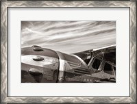 Framed Aviator