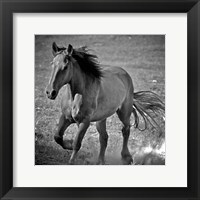 Framed Horse Runner