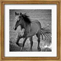 Framed Horse Runner