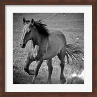 Framed Horse Runner