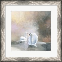 Framed Swans in Mist