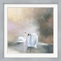 Framed Swans in Mist