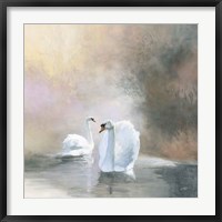 Framed Swans in Mist