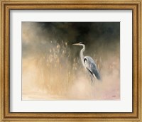 Framed Peaceful Egret