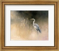 Framed Peaceful Egret