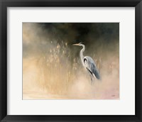 Framed Peaceful Egret