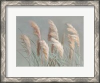 Framed Pampas Grasses on Gray