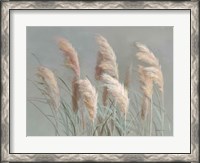 Framed Pampas Grasses on Gray