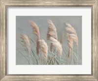 Framed Pampas Grasses on Gray