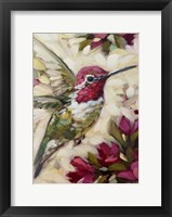 Framed Anna's Hummingbird