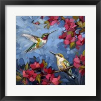 Framed Hummingbird Song