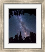 Framed Montana Sky Trees