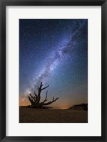 Framed Bristlecone Milky Way Bryce