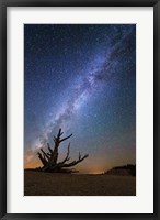 Framed Bristlecone Milky Way Bryce