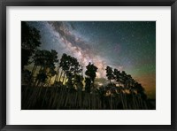 Framed Stacked Pano Aspens