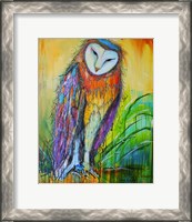 Framed Curious Owl
