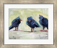 Framed 3 Crows