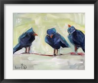 Framed 3 Crows
