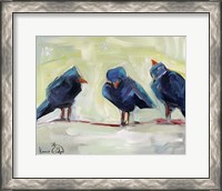 Framed 3 Crows