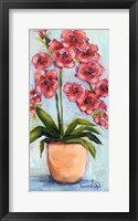 Framed Orchids