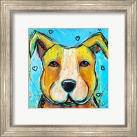 Framed Pit Puppy