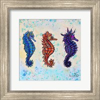 Framed Seahorses