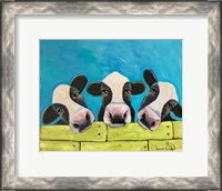 Framed Cows