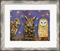 Framed Owls