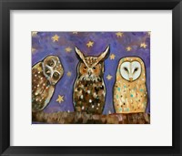 Framed Owls