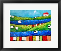 Framed Sheep in Pasture