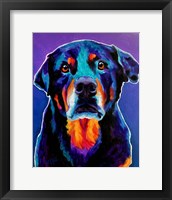 Framed Rottweiler - Nitro