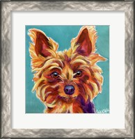 Framed Yorkie - Snookie