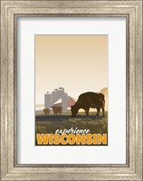 Framed Experience Wisconsin