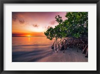 Framed Sunset Over the St. Lucie River