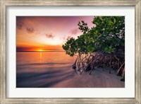 Framed Sunset Over the St. Lucie River