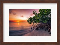 Framed Sunset Over the St. Lucie River