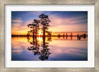 Framed Dawn in Henderson Swamp