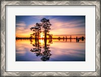 Framed Dawn in Henderson Swamp