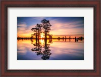 Framed Dawn in Henderson Swamp