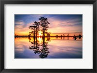 Framed Dawn in Henderson Swamp