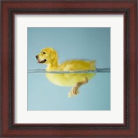 Framed Dog Duck