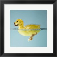 Framed Dog Duck