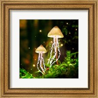 Framed Jellyshrooms