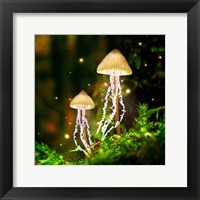 Framed Jellyshrooms