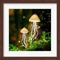 Framed Jellyshrooms