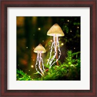 Framed Jellyshrooms