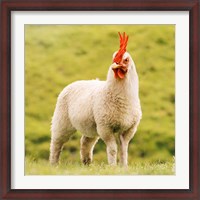 Framed Chickensheep