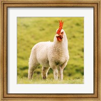 Framed Chickensheep