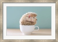 Framed Lion in a Cup