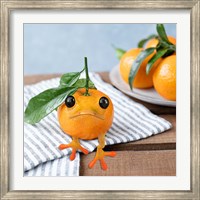 Framed Frogorange